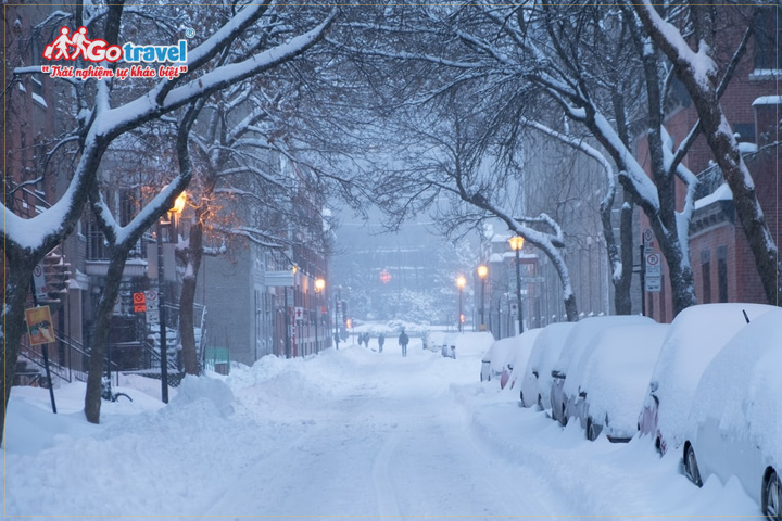 Du lịch Canada mùa đông trải nghiệm sự lạnh giá của mùa tuyết rơi.