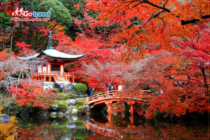Sắc đỏ của mùa thu bao trùm khắp không gian Nhật Bản