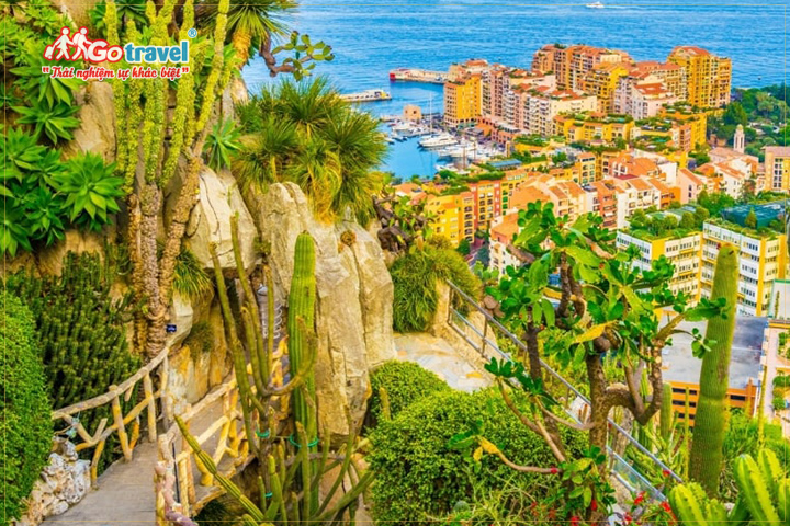 Vườn kỳ lạ - Monaco