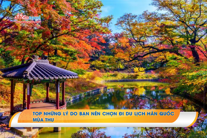 Top những lý do bạn nên chọn đi du lịch Hàn Quốc mùa thu