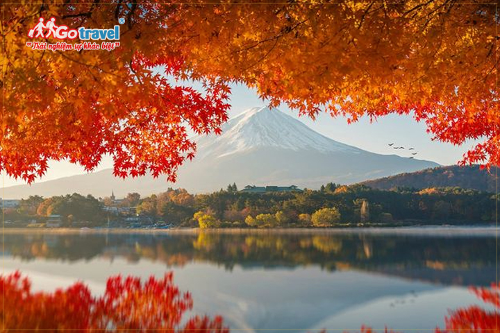 Du lịch núi Phú Sĩ mùa thu