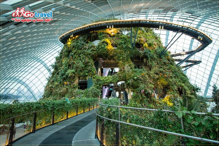 Khu rừng mây (Cloud Forest) ở Gardens By The Bay