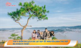 Top 5 điểm du lịch Đà Lạt dịp tết Nguyên Đán thu hút du khách nhất