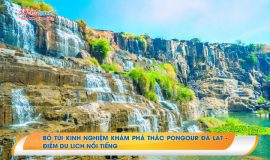 Bỏ túi kinh nghiệm khám phá thác Pongour Đà Lạt – Điểm du lịch nổi tiếng