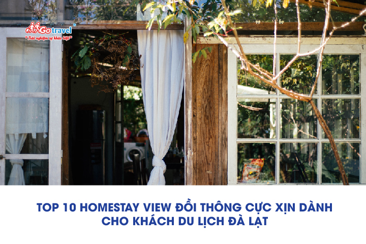 Top 10 homestay view đồi thông cực xịn dành cho khách du lịch Đà Lạt