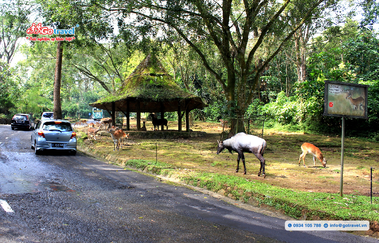 Taman Safari là điểm đến nổi tiếng tại Jakarta, Indonesia